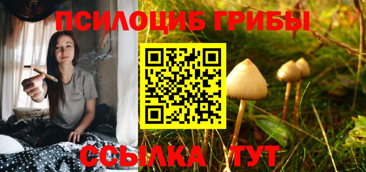 Галлюциногенные грибы ЛСД  Вход с VPN  Сегежа 