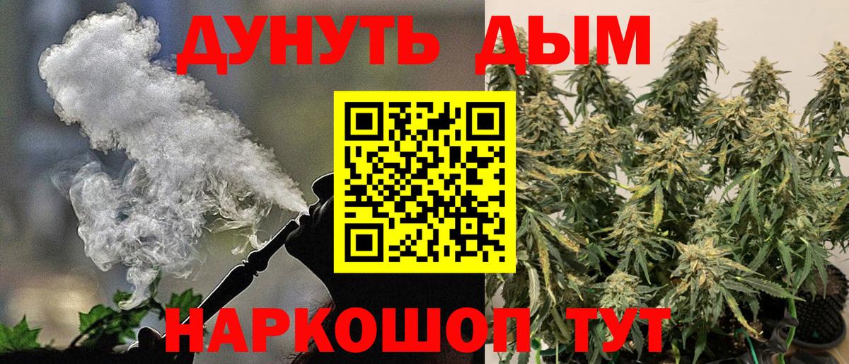 Бошки марихуана гибрид Сегежа